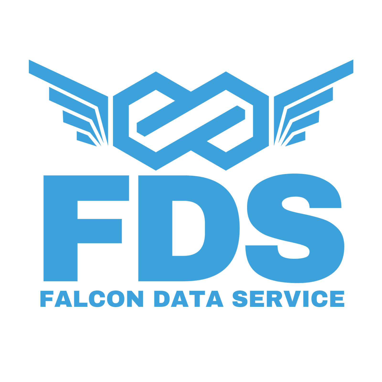 Falcon Data Service